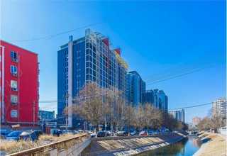 南京地区小型办公室租花厂家直供